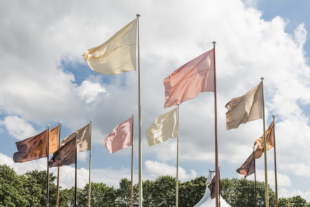 Native, Exotic, Normal / Circle of Flags,  2016